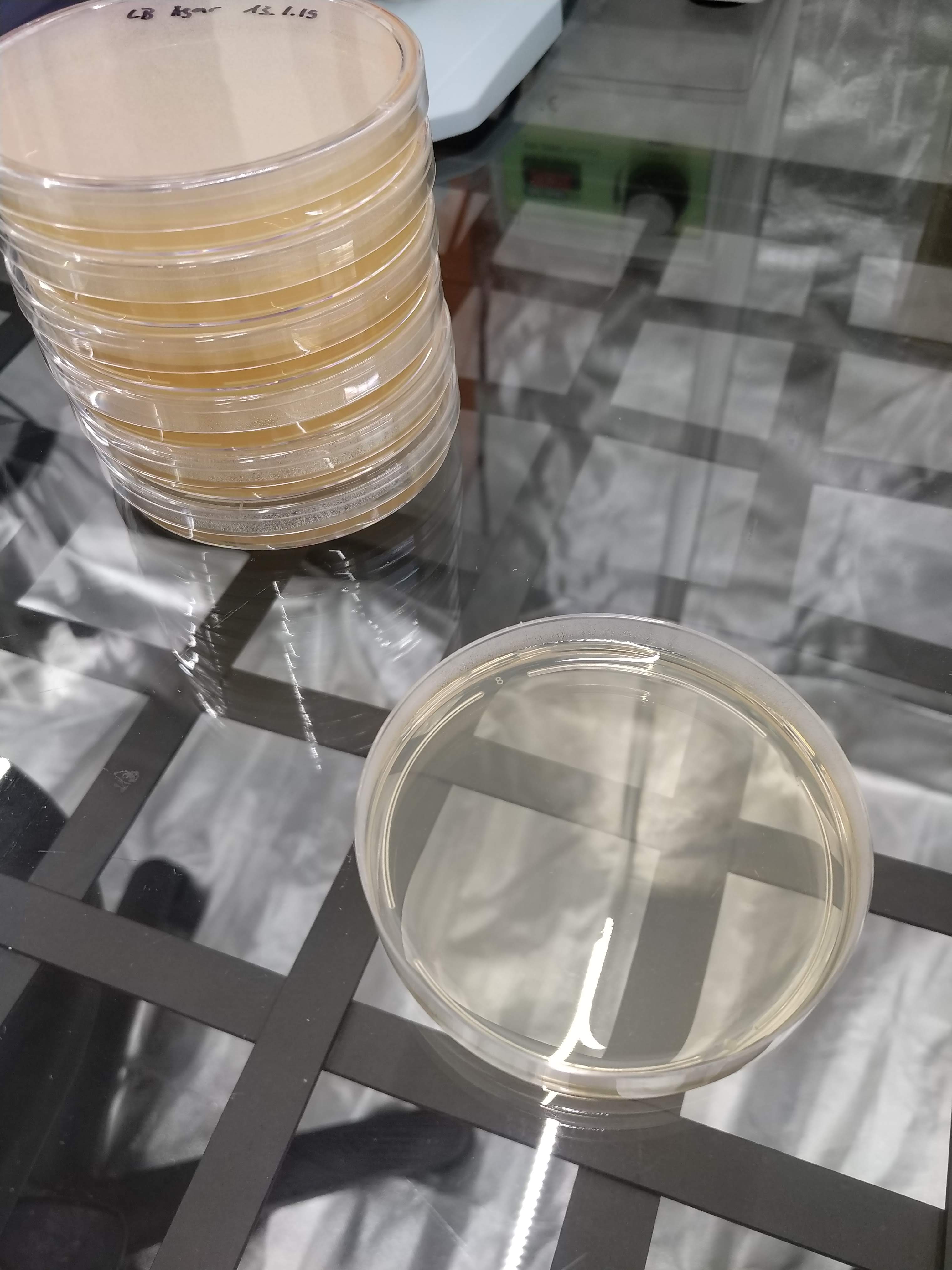 Fertige Pertischalen